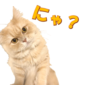 スコちゃんの抜け毛で作った毛玉なのに シャーと威嚇された 理系女の猫ブログ スコちゃんの１日