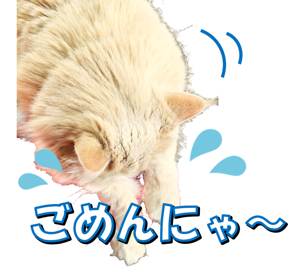 ブログ更新できなくてごめんにゃ 理系女の猫ブログ スコちゃんの１日