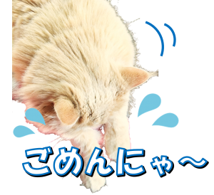 猫のブラシ選び 抜け毛対策にファーミネーター 理系女の猫ブログ スコちゃんの１日